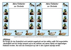 Fach-Faltbücher-Stockente.pdf